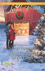 бесплатно читать книгу White Christmas in Dry Creek автора Janet Tronstad