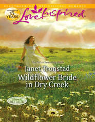 бесплатно читать книгу Wildflower Bride in Dry Creek автора Janet Tronstad