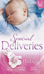 бесплатно читать книгу Special Deliveries: Heir To His Legacy: Heir to a Desert Legacy автора Elizabeth Lane