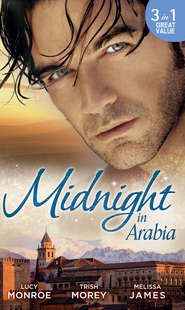 бесплатно читать книгу Midnight in Arabia: Heart of a Desert Warrior / The Sheikh's Last Gamble / The Sheikh's Jewel автора Люси Монро