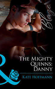 бесплатно читать книгу The Mighty Quinns: Danny автора Kate Hoffmann