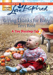 бесплатно читать книгу Giving Thanks for Baby автора Terri Reed