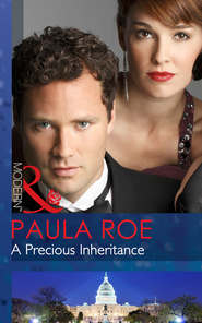 бесплатно читать книгу A Precious Inheritance автора Paula Roe