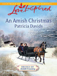 бесплатно читать книгу An Amish Christmas автора Patricia Davids