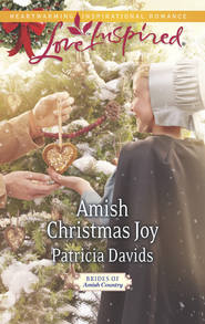 бесплатно читать книгу Amish Christmas Joy автора Patricia Davids