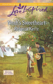 бесплатно читать книгу Noah's Sweetheart автора Rebecca Kertz
