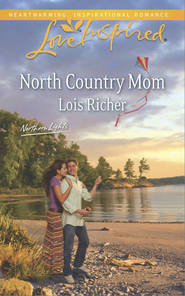 бесплатно читать книгу North Country Mom автора Lois Richer