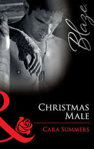 бесплатно читать книгу Christmas Male автора Cara Summers
