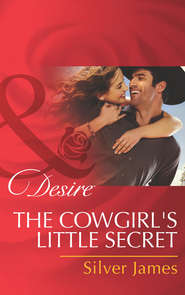 бесплатно читать книгу The Cowgirl's Little Secret автора Silver James
