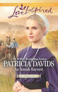 бесплатно читать книгу An Amish Harvest автора Patricia Davids