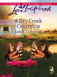 бесплатно читать книгу A Dry Creek Courtship автора Janet Tronstad