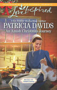 бесплатно читать книгу An Amish Christmas Journey автора Patricia Davids