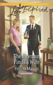 бесплатно читать книгу The Fireman Finds a Wife автора Felicia Mason
