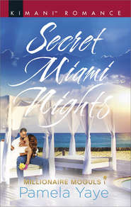 бесплатно читать книгу Secret Miami Nights автора Pamela Yaye