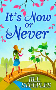 бесплатно читать книгу It's Now Or Never автора Jill Steeples