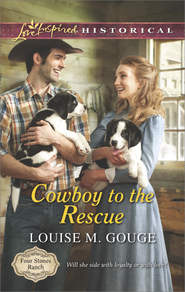 бесплатно читать книгу Cowboy to the Rescue автора Louise Gouge