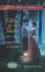 бесплатно читать книгу Falling for the Teacher автора Dorothy Clark