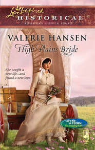 бесплатно читать книгу High Plains Bride автора Valerie Hansen