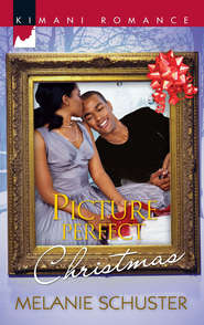 бесплатно читать книгу Picture Perfect Christmas автора Melanie Schuster