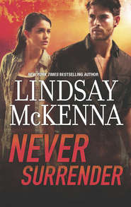 бесплатно читать книгу Never Surrender автора Lindsay McKenna