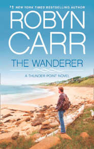 бесплатно читать книгу The Wanderer автора Робин Карр