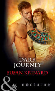 бесплатно читать книгу Dark Journey автора Susan Krinard