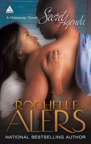 бесплатно читать книгу Secret Agenda автора Rochelle Alers