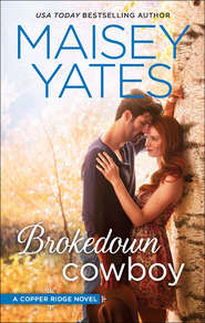 бесплатно читать книгу Brokedown Cowboy автора Maisey Yates