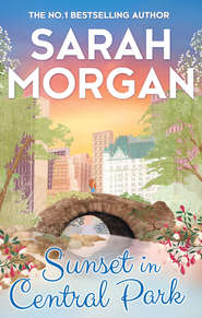 бесплатно читать книгу Sunset In Central Park автора Sarah Morgan