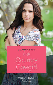 бесплатно читать книгу High Country Cowgirl автора Joanna Sims