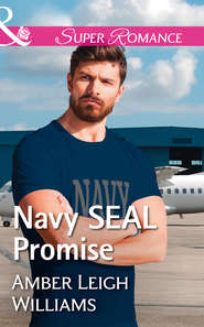 бесплатно читать книгу Navy Seal Promise автора Amber Williams