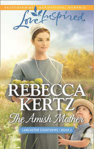 бесплатно читать книгу The Amish Mother автора Rebecca Kertz