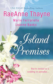 бесплатно читать книгу Island Promises: Hawaiian Holiday / Hawaiian Reunion / Hawaiian Retreat автора RaeAnne Thayne