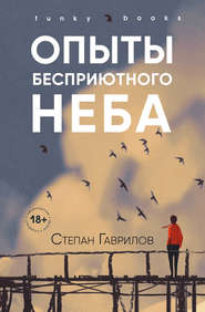 бесплатно читать книгу Опыты бесприютного неба автора Степан Гаврилов