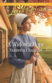 бесплатно читать книгу A Widow's Hope автора Vannetta Chapman