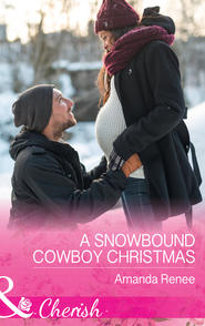 бесплатно читать книгу A Snowbound Cowboy Christmas автора Amanda Renee
