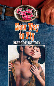 бесплатно читать книгу New Way to Fly автора Margot Dalton