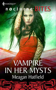 бесплатно читать книгу Vampire In Her Mysts автора Meagan Hatfield