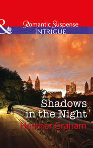 бесплатно читать книгу Shadows In The Night автора Heather Graham