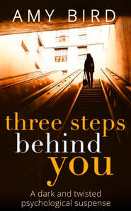 бесплатно читать книгу Three Steps Behind You автора Amy Bird