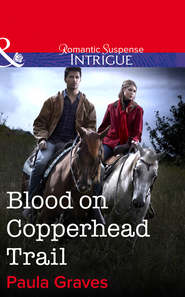 бесплатно читать книгу Blood on Copperhead Trail автора Paula Graves