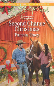 бесплатно читать книгу Second Chance Christmas автора Pamela Tracy