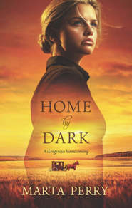 бесплатно читать книгу Home by Dark автора Marta Perry