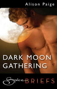 бесплатно читать книгу Dark Moon Gathering автора Alison Paige