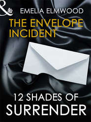 бесплатно читать книгу The Envelope Incident автора Emelia Elmwood