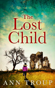 бесплатно читать книгу The Lost Child автора Ann Troup