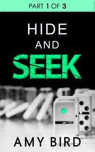 бесплатно читать книгу Hide And Seek автора Amy Bird
