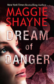 бесплатно читать книгу Dream of Danger автора Maggie Shayne