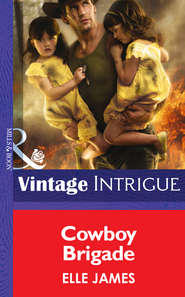 бесплатно читать книгу Cowboy Brigade автора Elle James