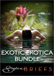 бесплатно читать книгу Exotic Erotica Bundle: Invite Me In / Tokyo Rendezvous / Soul Strangers автора Jina Bacarr